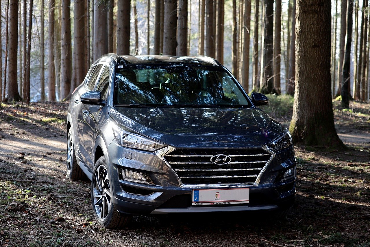Voiture : quel modèle choisir pour une location longue durée ?